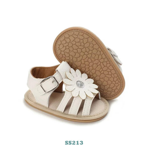 SS213-600x600